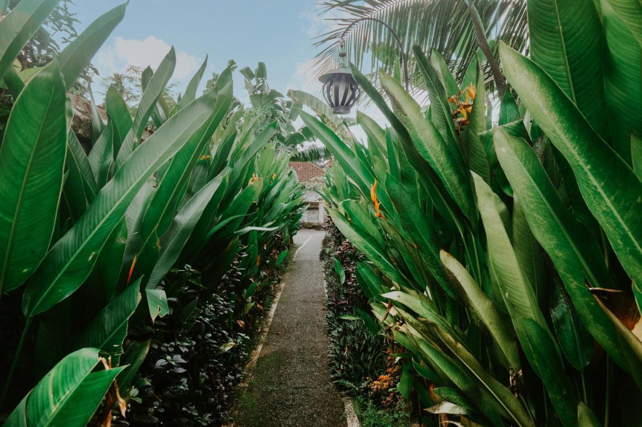 Anggira Villa Ubud Εξωτερικό φωτογραφία